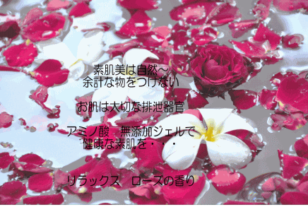 �E�F�u �A�j���[�^�[